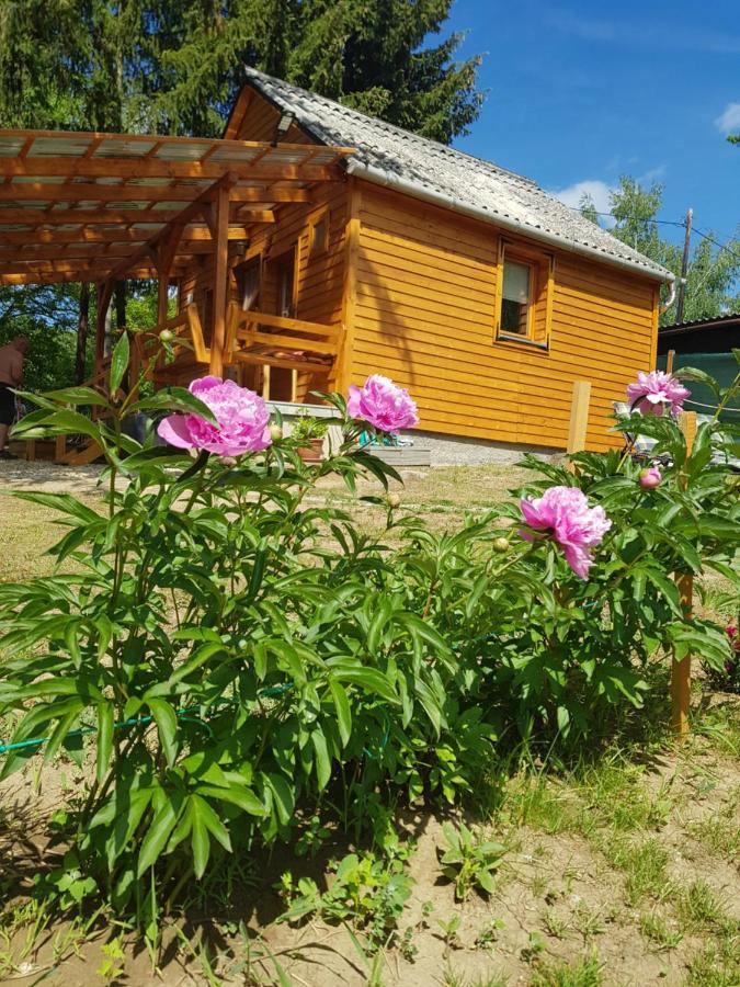 Romantikus erdőszéli faház Villa Salgótarján Kültér fotó